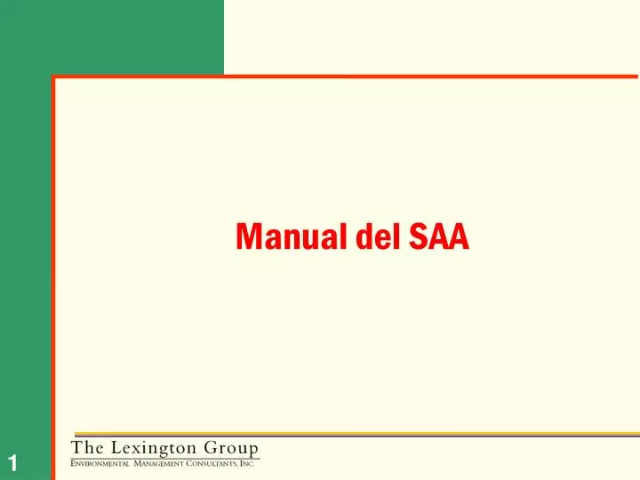 manual del saa