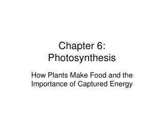 Chapter 6: Photosynthesis