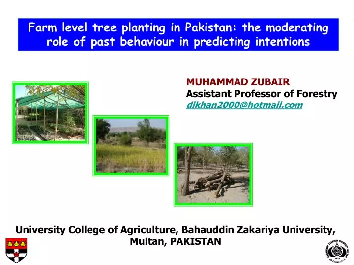 muhammad zubair assistant professor of forestry dikhan2000@hotmail com