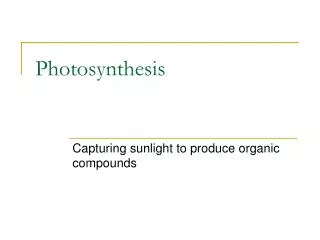 Photosynthesis