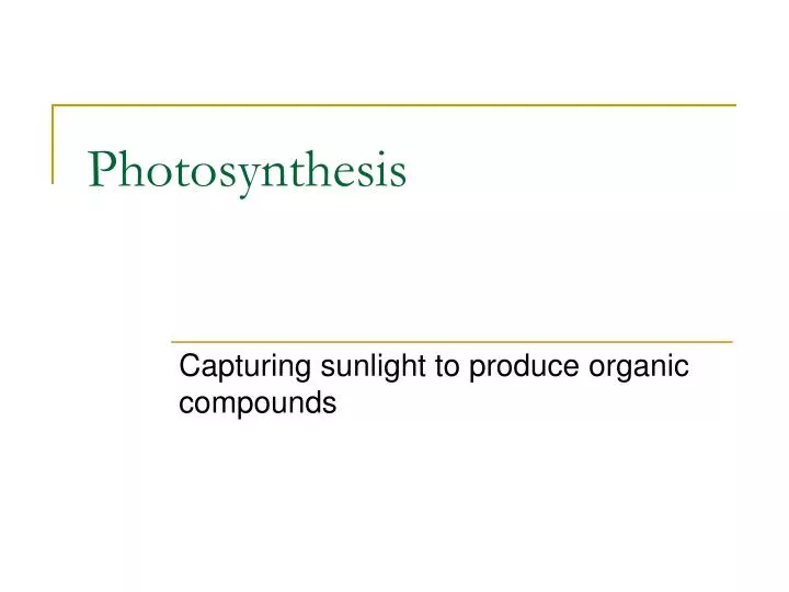 photosynthesis