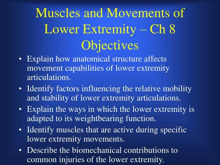 muscles and movements of lower extremity ch 8 objectives