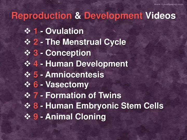 reproduction development videos