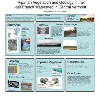 Riparian Vegetation and Geology in the Jail Branch Watershed in Central Vermont