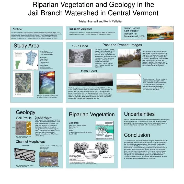 riparian vegetation and geology in the jail branch watershed in central vermont
