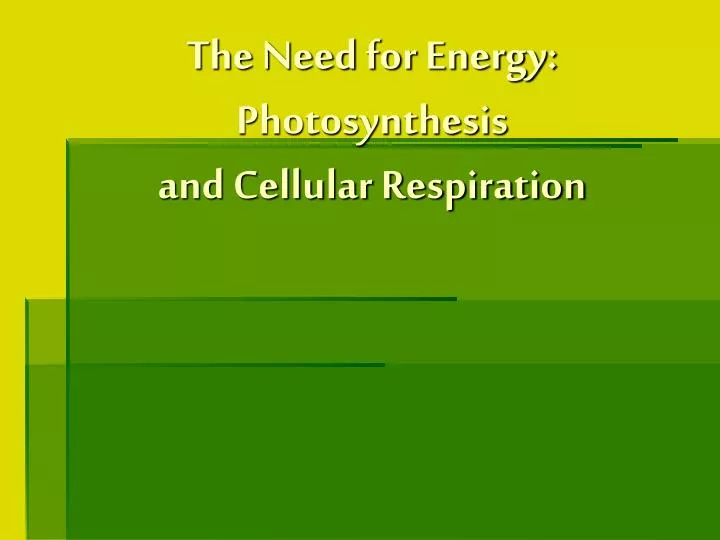 the need for energy photosynthesis and cellular respiration