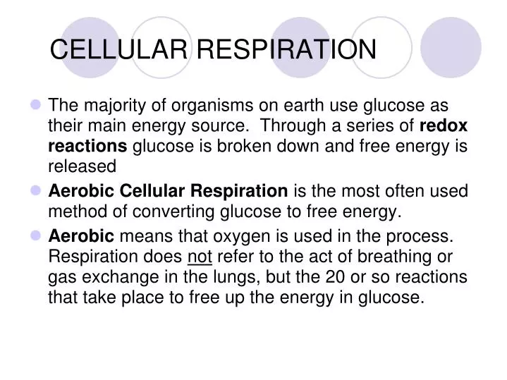cellular respiration