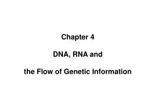 Chapter 4 DNA, RNA and the Flow of Genetic Information