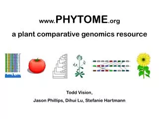 PHYTOME a plant comparative genomics resource