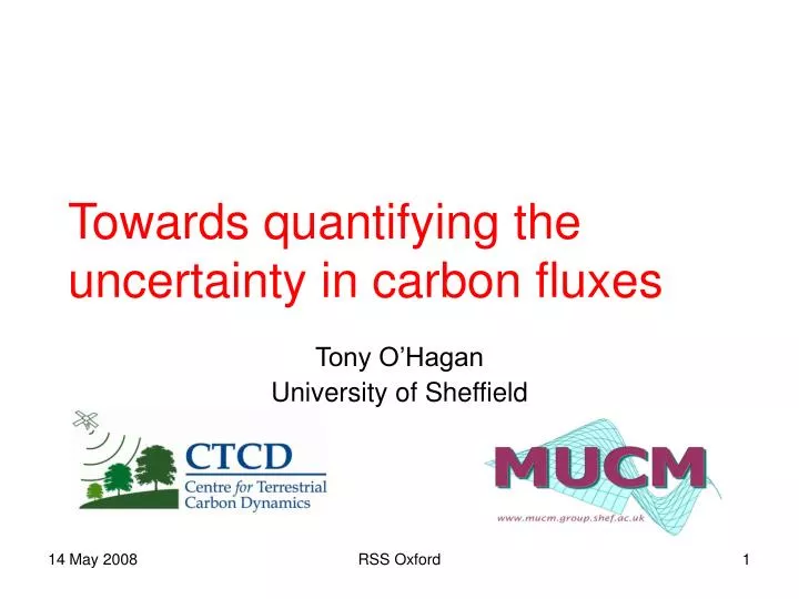 towards quantifying the uncertainty in carbon fluxes