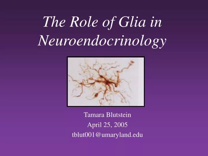 the role of glia in neuroendocrinology