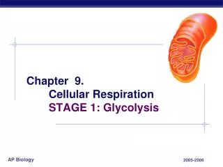 Chapter 9. 	Cellular Respiration 	STAGE 1: Glycolysis