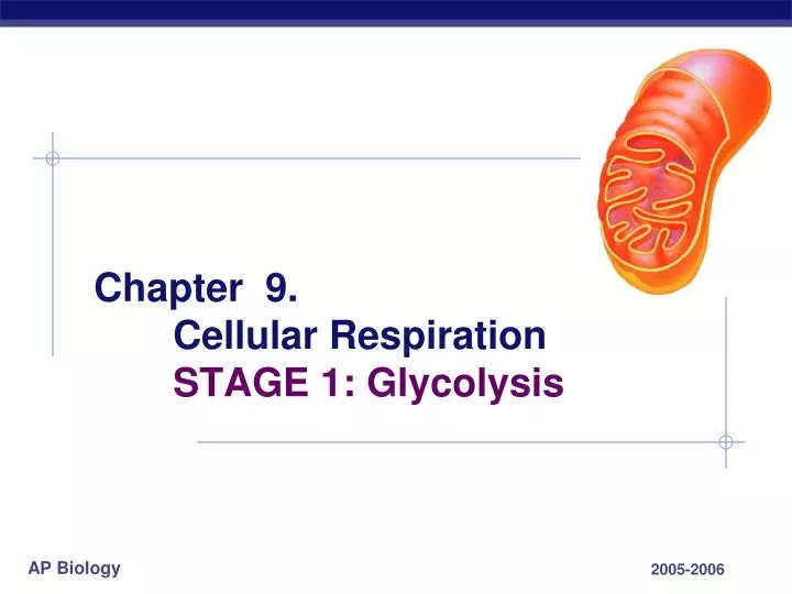 chapter 9 cellular respiration stage 1 glycolysis