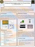 Understanding the Role of Avr1 in Leaf Rust Pathogenesis Through BIBAC Library Construction - slide 1