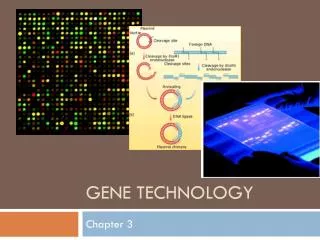 GENE TECHNOLOGY