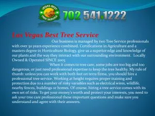 Tree service Las Vegas Nevada, Tree removal Las Vegas Nevada