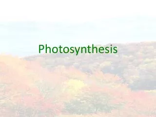 photosynthesis