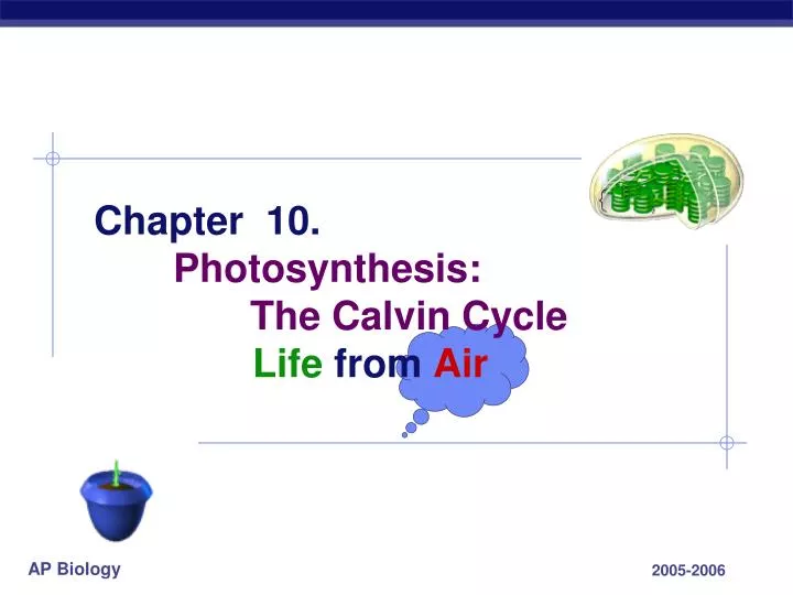 chapter 10 photosynthesis the calvin cycle life from air