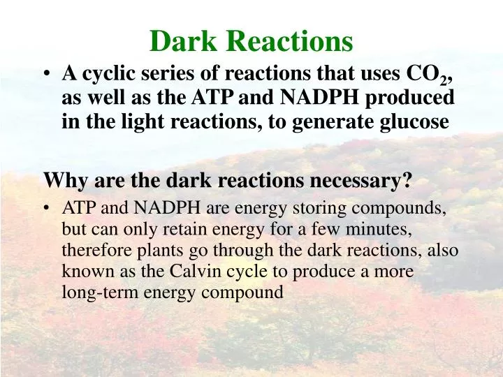 dark reactions