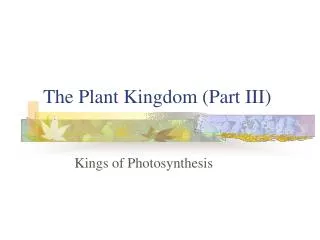 The Plant Kingdom (Part III)