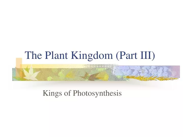 the plant kingdom part iii
