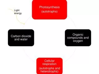 Light energy