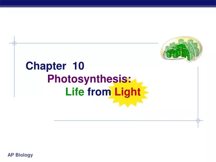 chapter 10 photosynthesis life from light