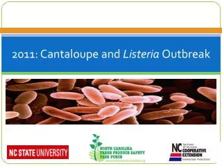 2011: Cantaloupe and Listeria Outbreak