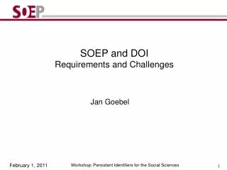 SOEP and DOI Requirements and Challenges