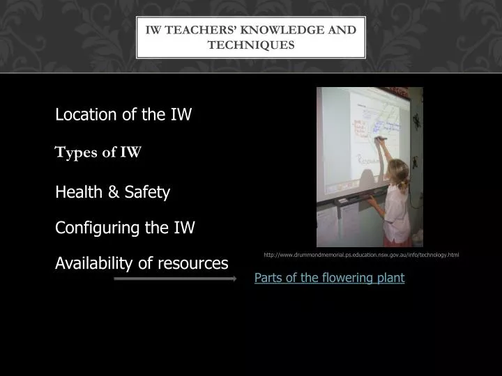 iw teachers knowledge and techniques