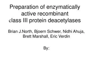 Preparation of enzymatically active recombinant c lass III protein deacetylases