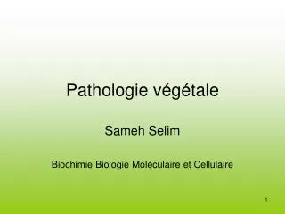 pathologie v g tale