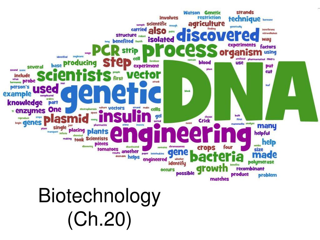 PPT - Biotechnology (Ch.20) PowerPoint Presentation, free download - ID ...