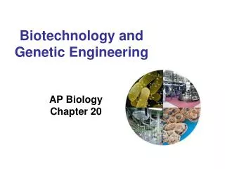 Biotechnology and Genetic Engineering