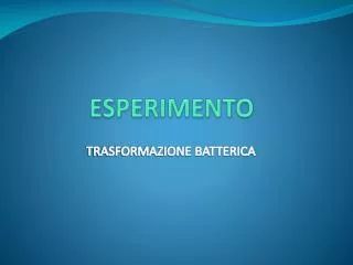 esperimento