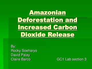 Amazonian Deforestation and Increased Carbon Dioxide Release