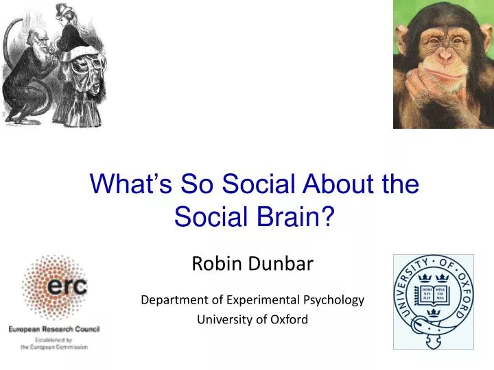 new dimensions to the social brain what s so social about the social brain