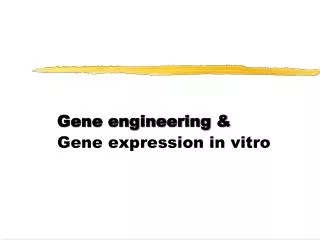 Gene engineering &amp; Gene expression in vitro
