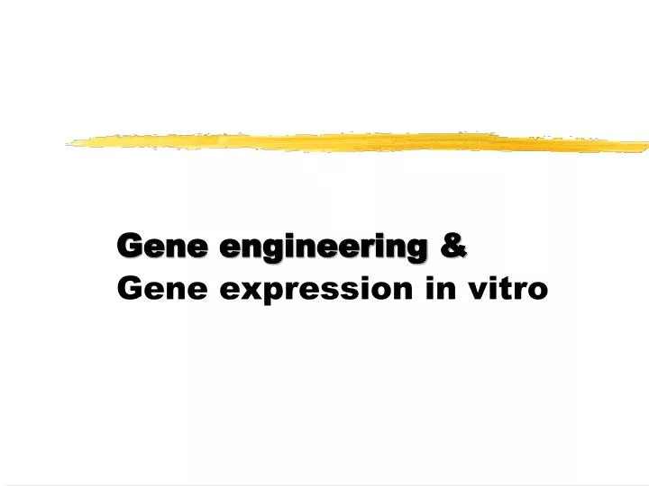 gene engineering gene expression in vitro