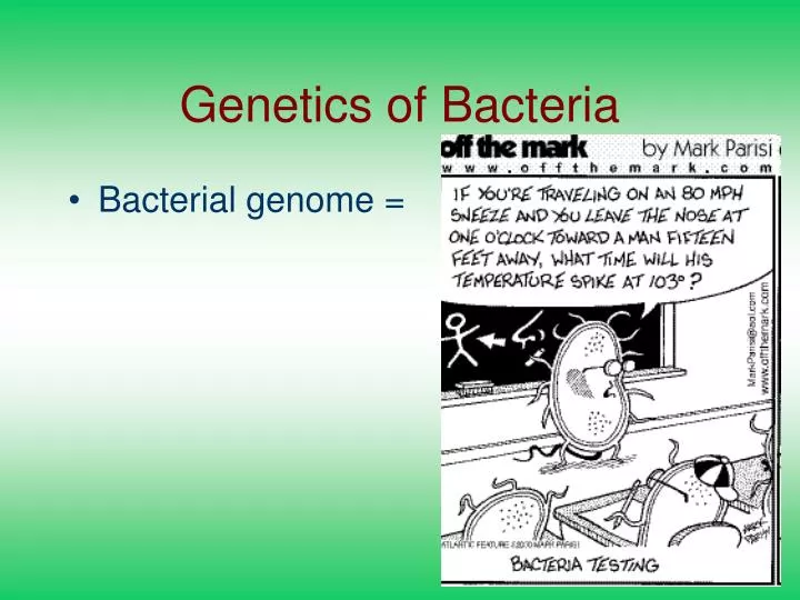 genetics of bacteria