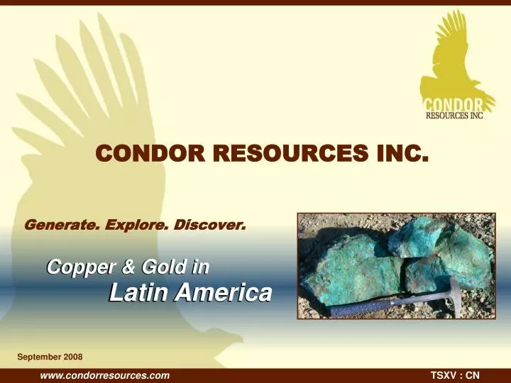 condor resources inc