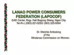 Privatization of the Agus / Pulangui Hydro Electric Complexes - slide 1