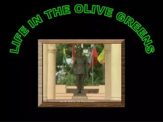 LIFE IN THE OLIVE GREENS