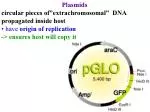 Plasmids circular pieces of”extrachromosomal” DNA propagated inside host - slide 1