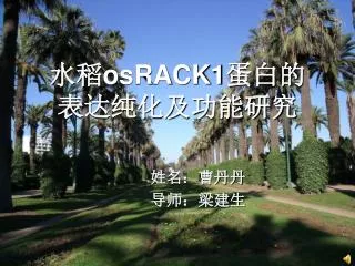 osrack1