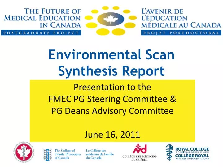 environmental scan synthesis report