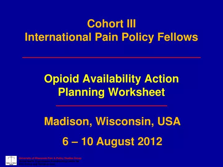 cohort iii international pain policy fellows