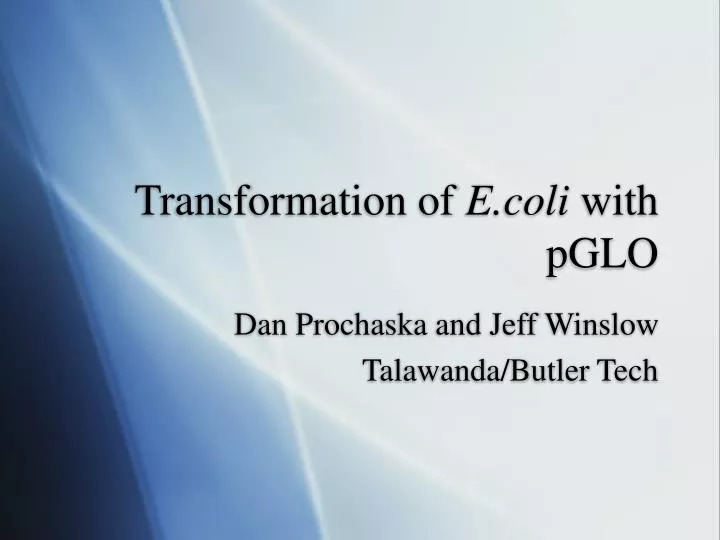 transformation of e coli with pglo