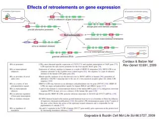 Effects of retroelements on gene expression