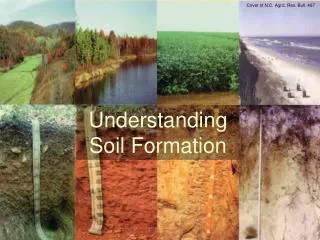 Understanding Soil Formation